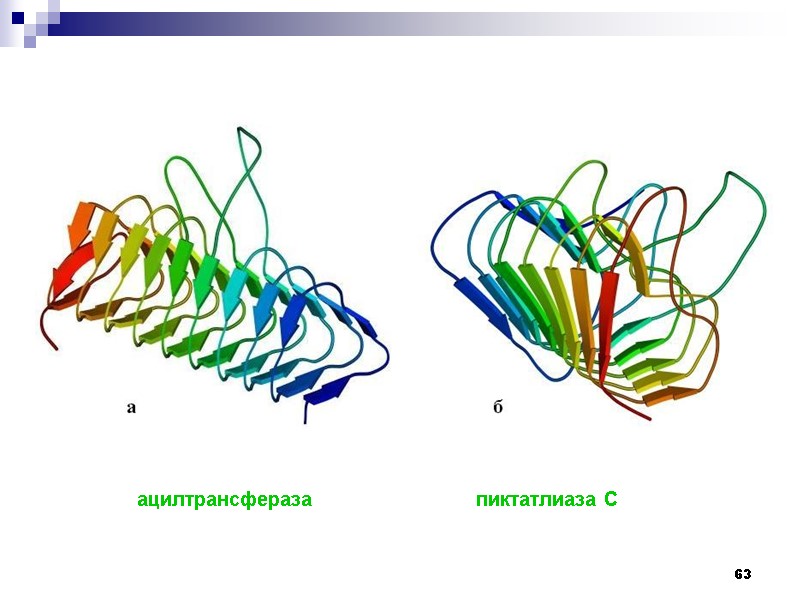 63 ацилтрансфераза            